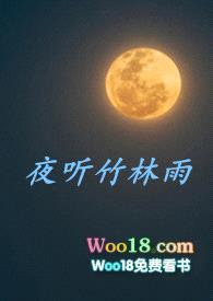 夜听竹林雨封面